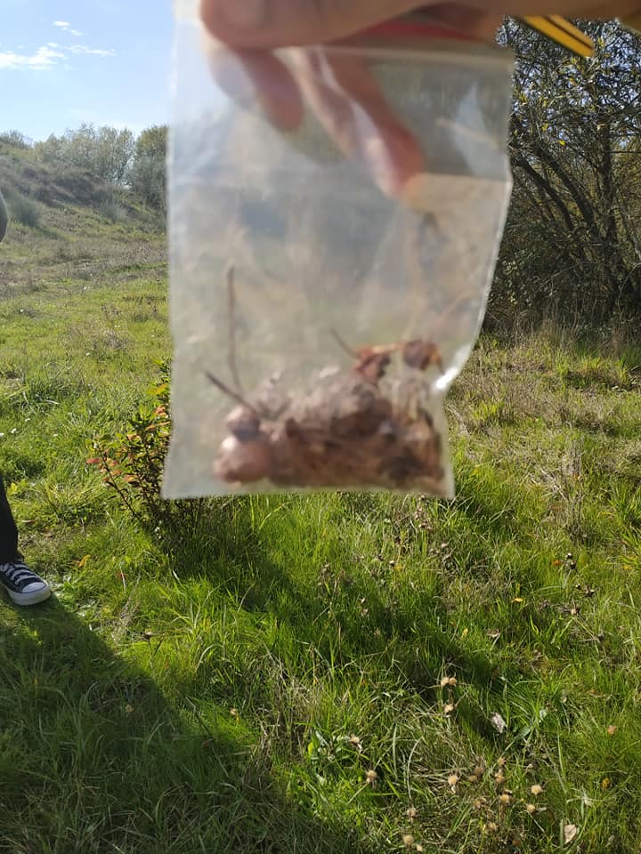 Aulas_Natureza2.jpg