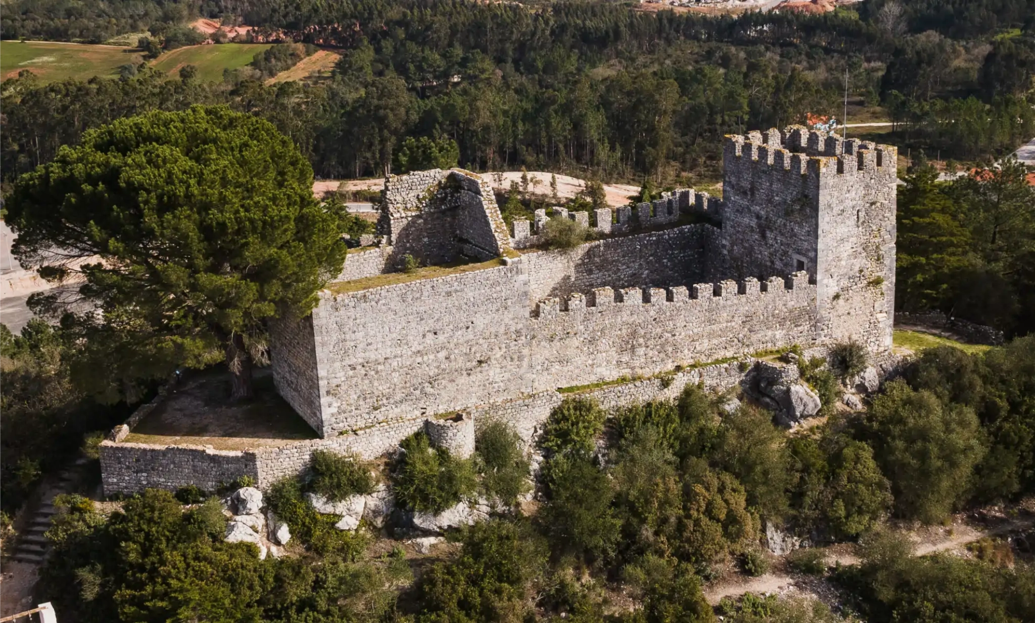 Castelo de Alcanede